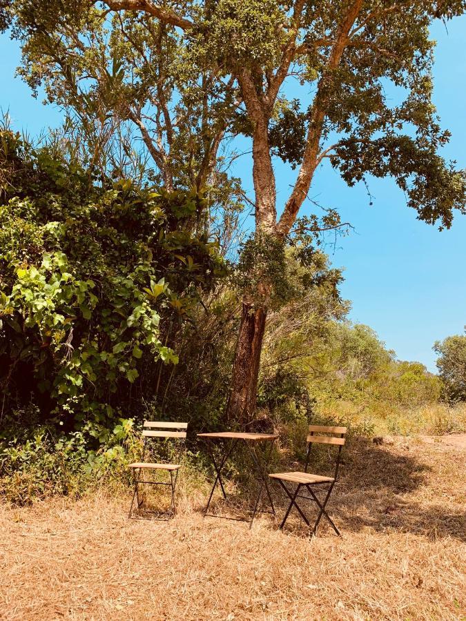 Private Eco Glamping In Aljezur Alfambras Hotel Exterior photo